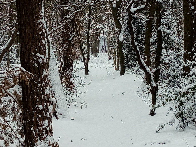 Winter in Dalfsen - Foto: Eigen geleverde foto