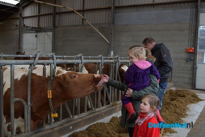De Kleine Kornuiten boert bewust - Foto: Johan Bokma