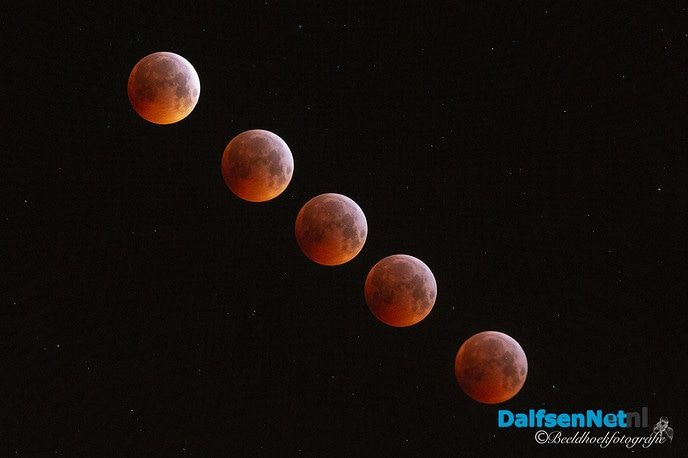 Bloedmaan - Foto: Ingezonden foto