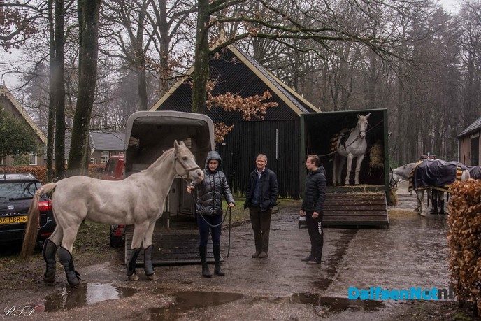 Slipjacht door de Vilsterse bossen - Foto: Ingezonden foto
