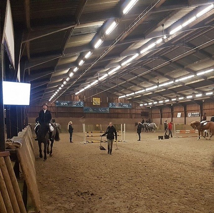Tuinexpo in de grote manegehallen - Foto: Gruune Jopie