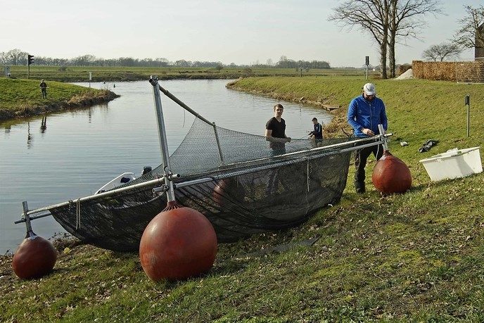 Uitvoering project Swimway Vecht gestart - Foto: Paul Scholten
