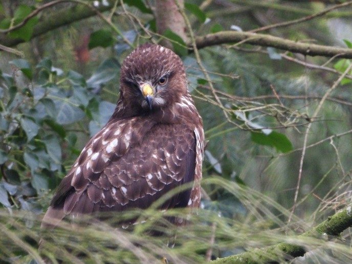 Wachten op een lekker maaltje - Foto: Eigen geleverde foto