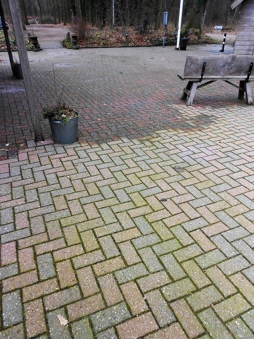 Het voorjaar komt er plotseling aan - Foto: Eigen geleverde foto