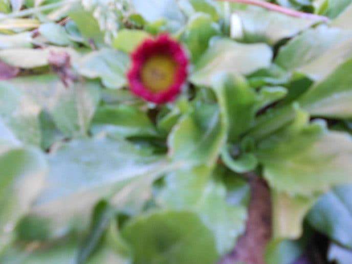Voorjaar!! - Foto: Eigen geleverde foto