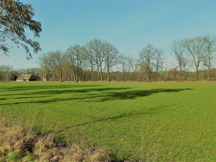 Zo groen als gras - Foto: Eigen geleverde foto
