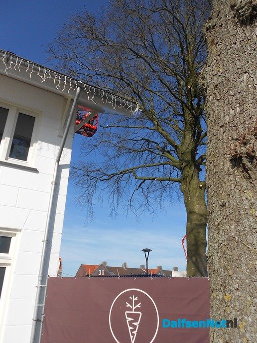 Boom snoeien boven Sukerieje