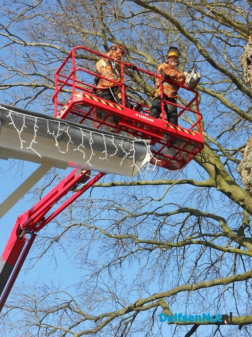 Boom snoeien boven Sukerieje