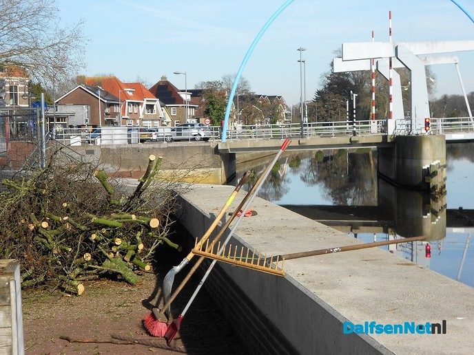 Boom snoeien boven Sukerieje