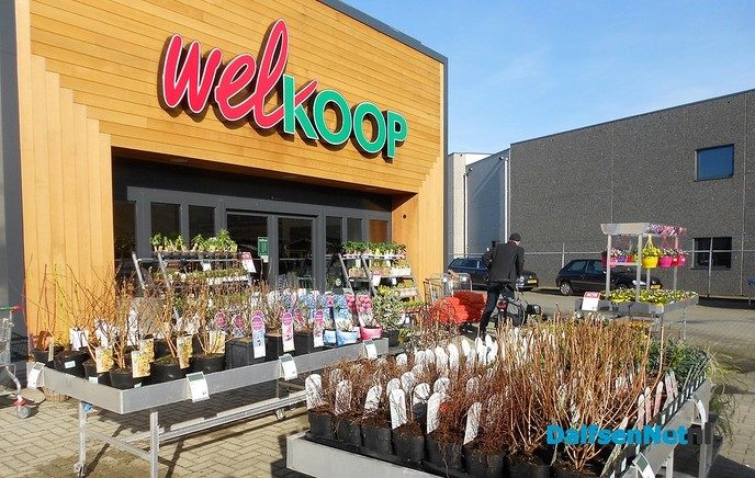 Volop voorjaar