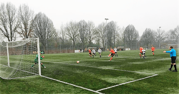 Fantastische teamprestatie S.V. Nieuwleusen - Foto: Eigen geleverde foto