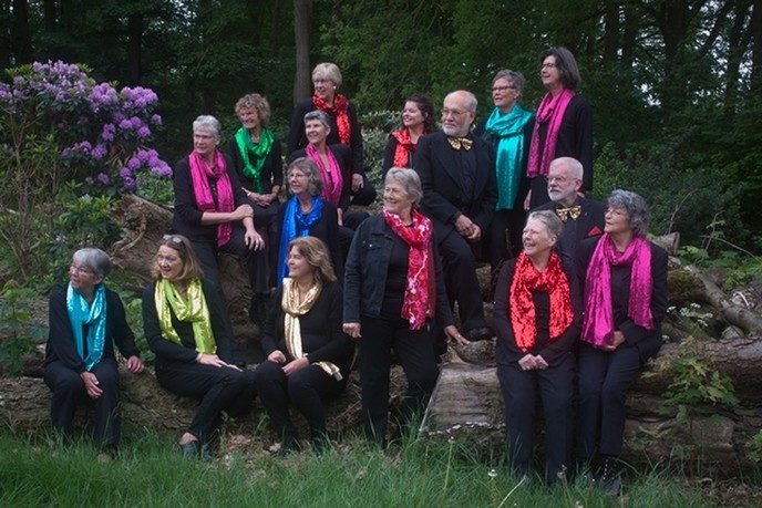 Voorjaarsconcert Heino Vocaal 3 maart 2019 - Foto: Eigen geleverde foto