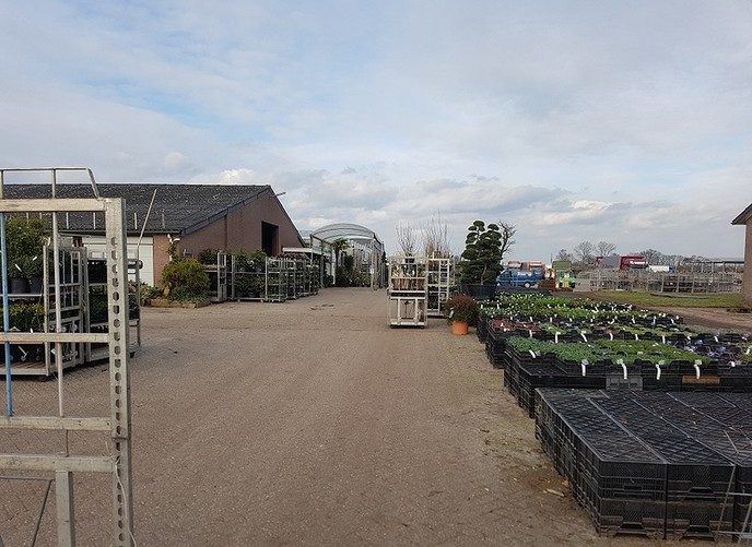 Meert: Dialectmoand: 1: veiling - Foto: Gruune Jopie