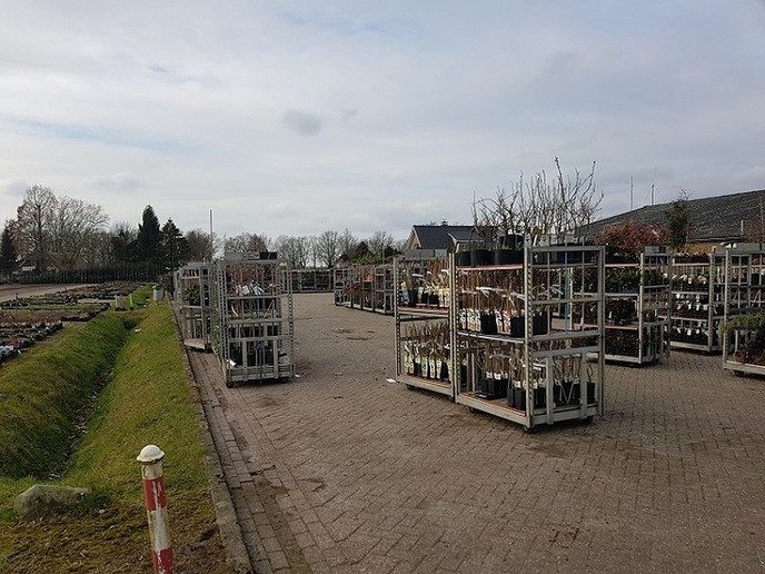 Meert: Dialectmoand: 1: veiling - Foto: Gruune Jopie