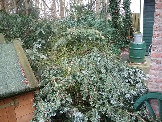 De wind was gisteren veel mans - Foto: Eigen geleverde foto