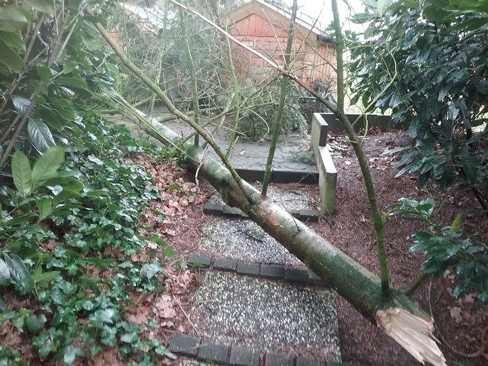 De wind was gisteren veel mans - Foto: Eigen geleverde foto