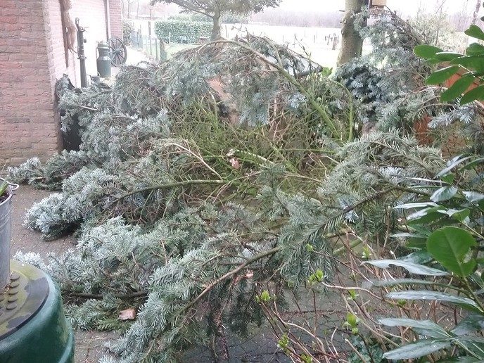 De wind was gisteren veel mans - Foto: Eigen geleverde foto