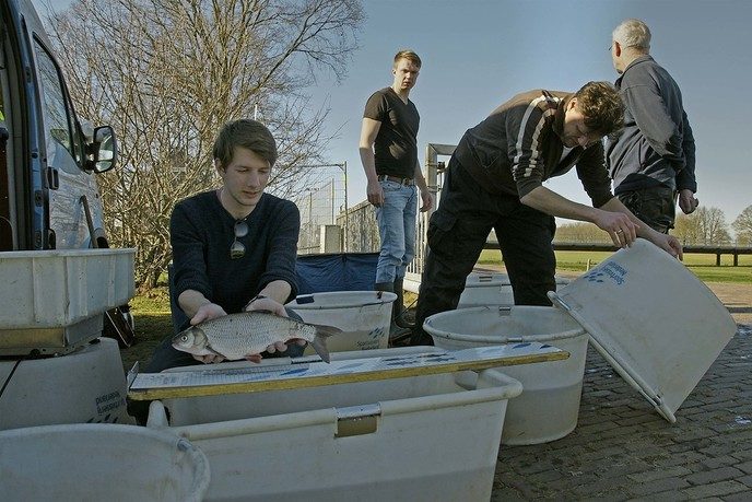 Project Swimway Vecht - Foto: Paul Scholten