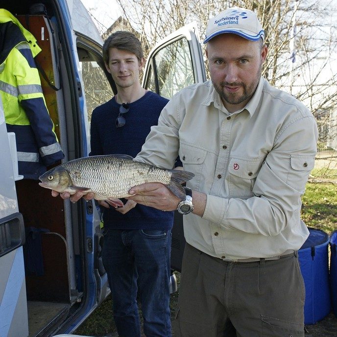 Project Swimway Vecht - Foto: Paul Scholten