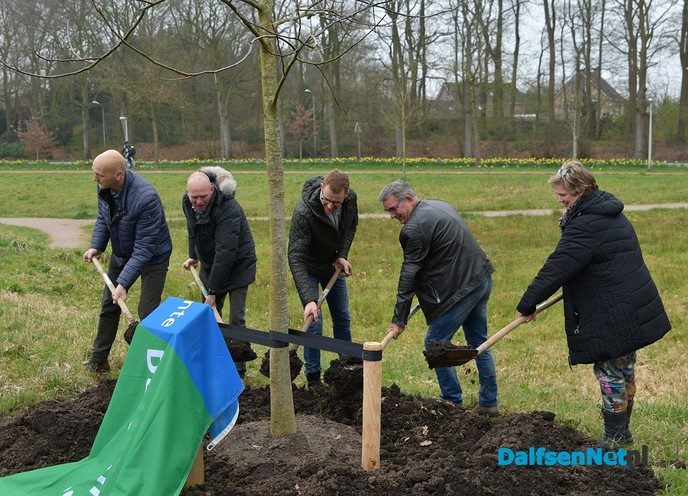 Noten plant een Notenboom - Foto: Johan Bokma