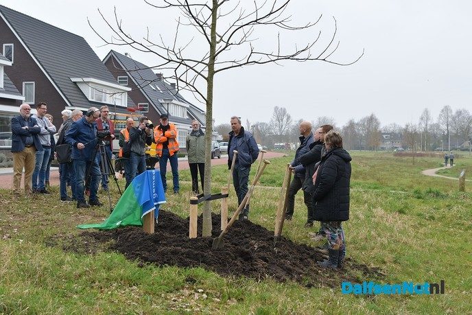 Noten plant een Notenboom - Foto: Johan Bokma