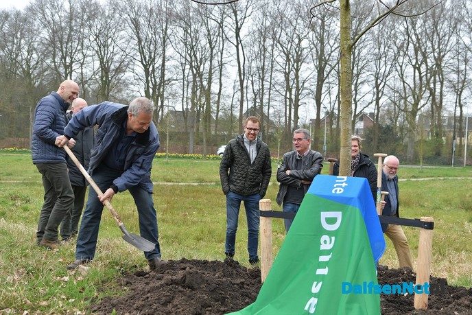 Noten plant een Notenboom - Foto: Johan Bokma