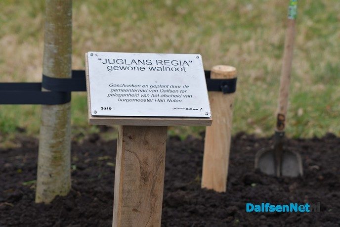Noten plant een Notenboom - Foto: Johan Bokma