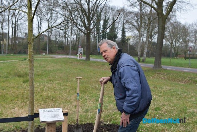 Noten plant een Notenboom - Foto: Johan Bokma