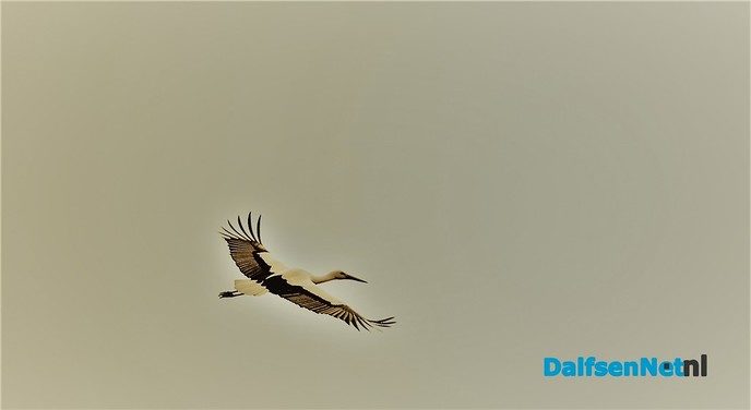 Nog geen zomer - Foto: Ben Jonkman