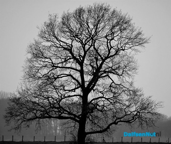 Nog geen zomer - Foto: Ben Jonkman