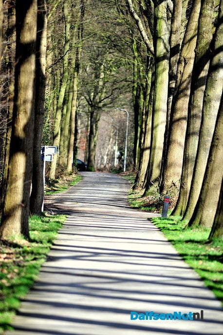 De fotograaf op pad - Foto: Ben Jonkman