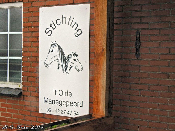 Burgemeester Hans Vroomen hielp bij ’t olde manegepeerd.