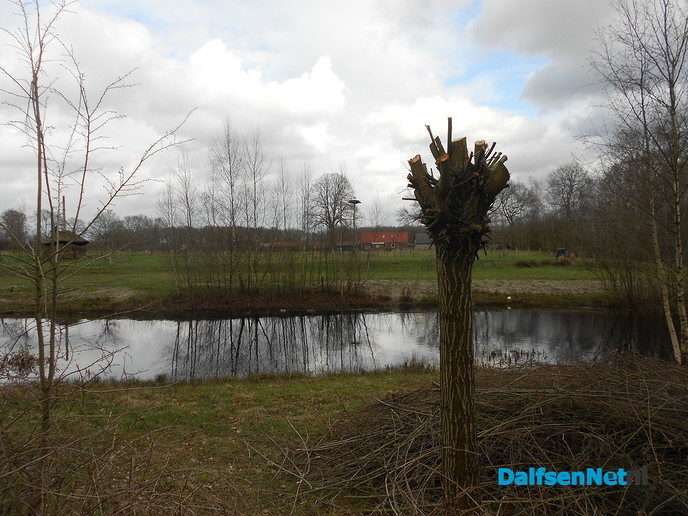 Ooievaar Emmen ook weer terug
