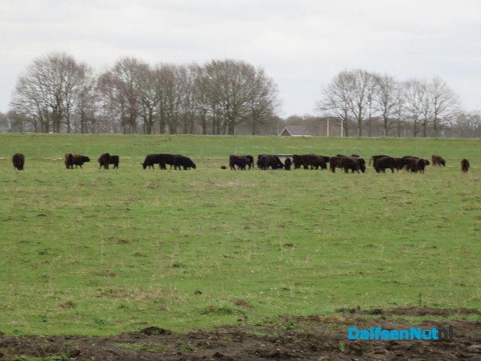 De stuwovergang bij het Vechterweerd nog steeds gesloten - Foto: Wim