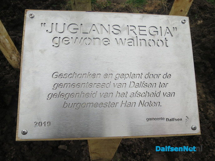 Ook Hoonhorst kreeg een notenboom - Foto: Wim