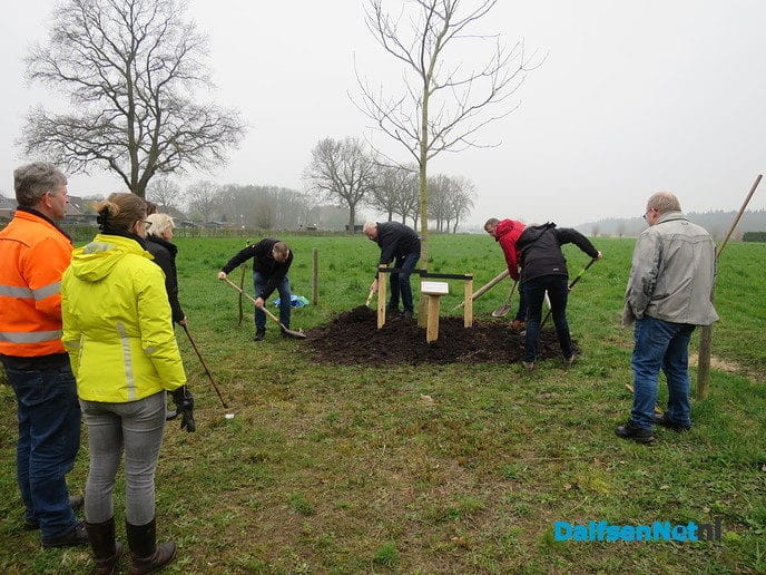 Ook Hoonhorst kreeg een notenboom - Foto: Wim