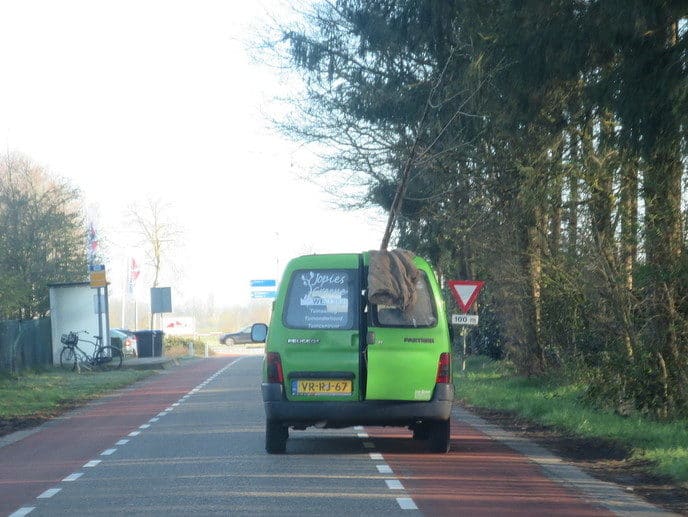 De bomen groeien zelfs uit het dak van zijn auto - Foto: Eigen geleverde foto
