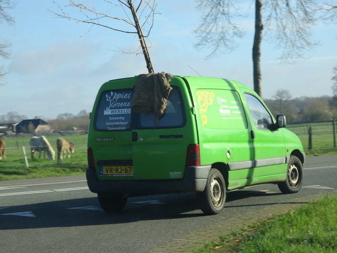 De bomen groeien zelfs uit het dak van zijn auto - Foto: Eigen geleverde foto