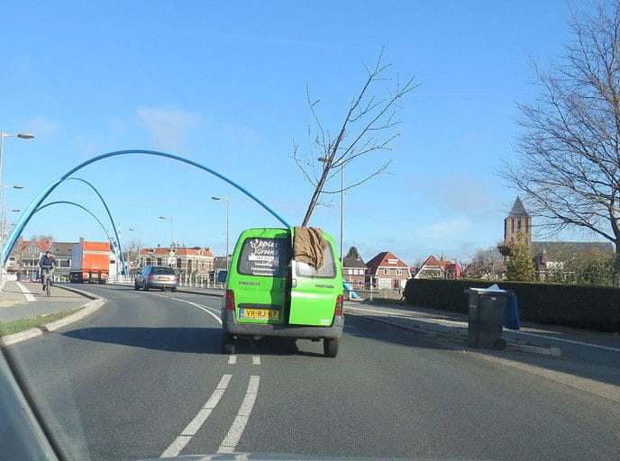 De bomen groeien zelfs uit het dak van zijn auto - Foto: Eigen geleverde foto