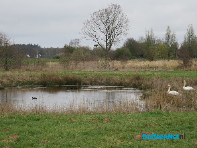 De natuur ontwaakt, de lente is begonnen - Foto: Wim