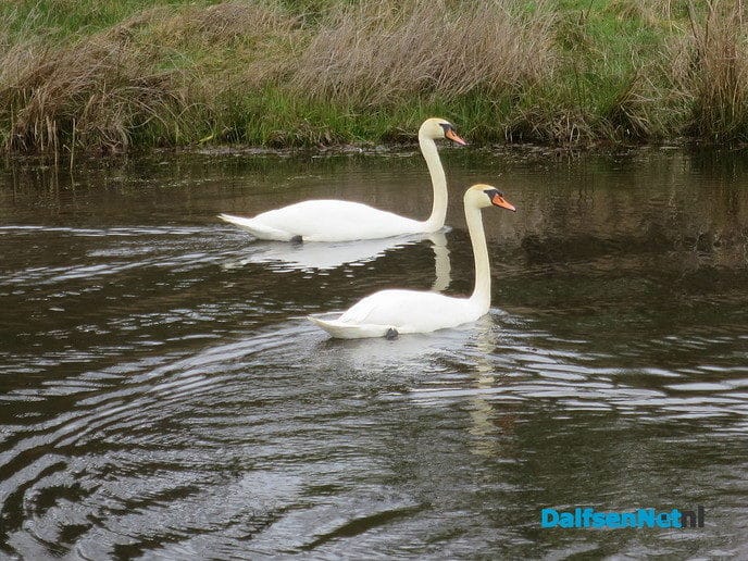 De natuur ontwaakt, de lente is begonnen - Foto: Wim
