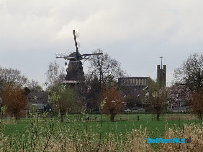 De natuur ontwaakt, de lente is begonnen - Foto: Wim