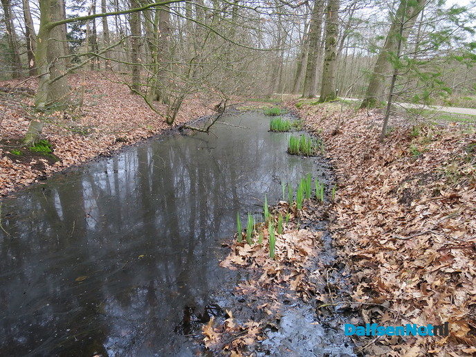 De natuur ontwaakt, de lente is begonnen - Foto: Wim