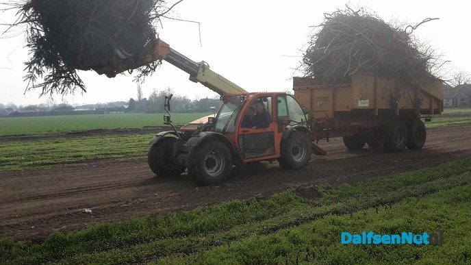 Breng je snoeihout naar Ankum! - Foto: Ingezonden foto