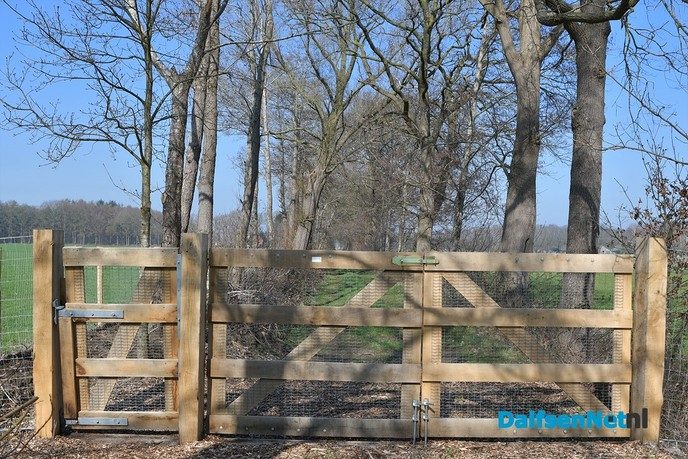 Kippen bij Pluimveebedrijf Visscher genieten de van het voorjaar. - Foto: Johan Bokma