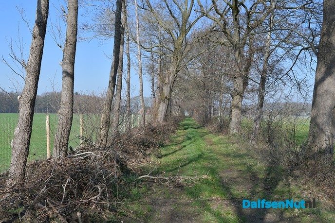 Kippen bij Pluimveebedrijf Visscher genieten de van het voorjaar. - Foto: Johan Bokma