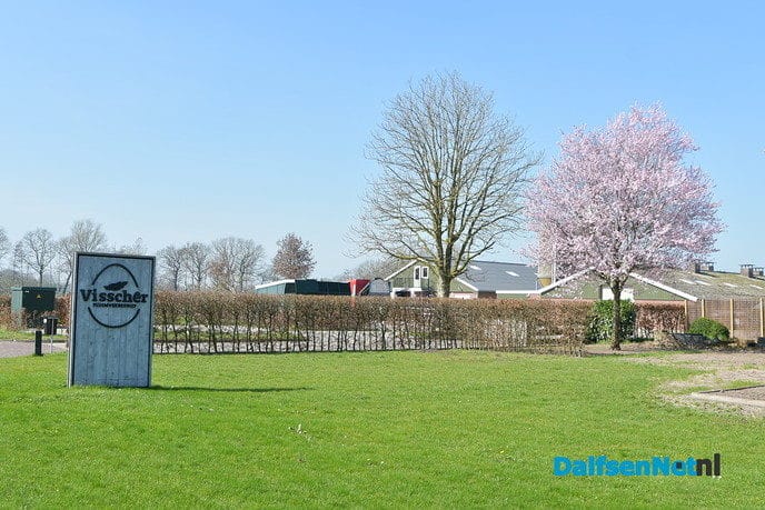 Kippen bij Pluimveebedrijf Visscher genieten de van het voorjaar. - Foto: Johan Bokma