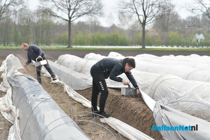 Het aspergeseizoen in beeld bij Tuinderij van der Kolk aan de Hessenweg - Foto: Johan Bokma