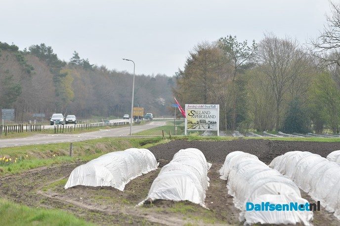 Het aspergeseizoen in beeld bij Tuinderij van der Kolk aan de Hessenweg - Foto: Johan Bokma