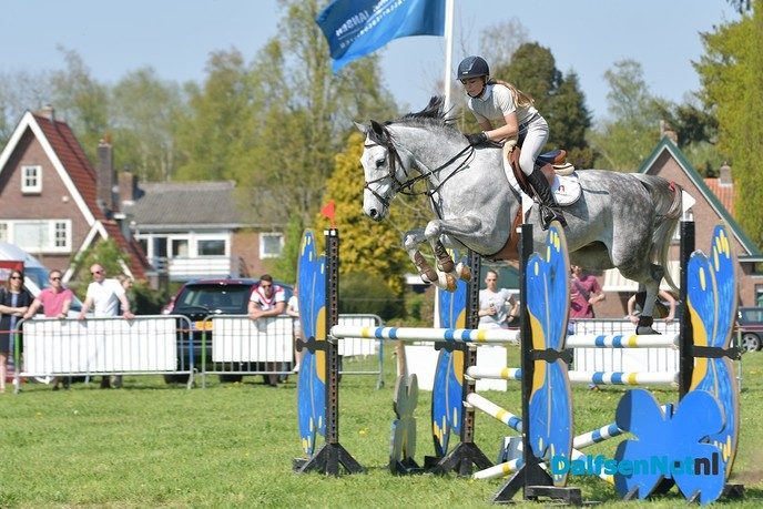 Concours Hippique aan de Ruitenborghstraat - Foto: Johan Bokma